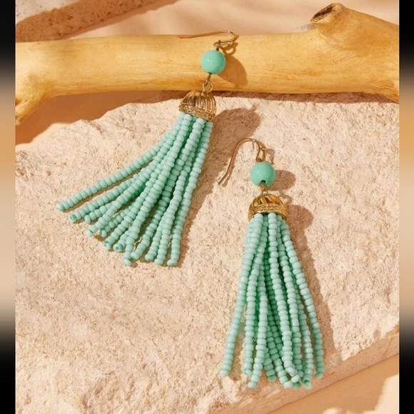Beaded Tassel Earrings - Picture 1 of 2